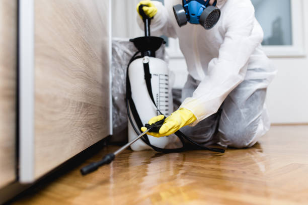 Best Wildlife Control Services  in Stowell, TX