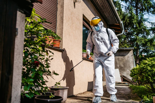 Best Emergency Pest Control  in Stowell, TX