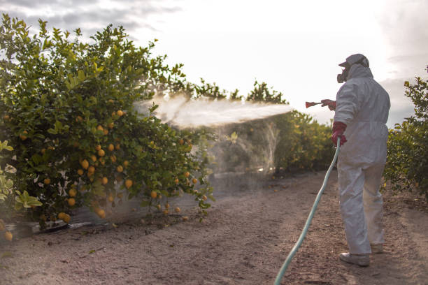 Best Pest Control Near Me in Stowell, TX