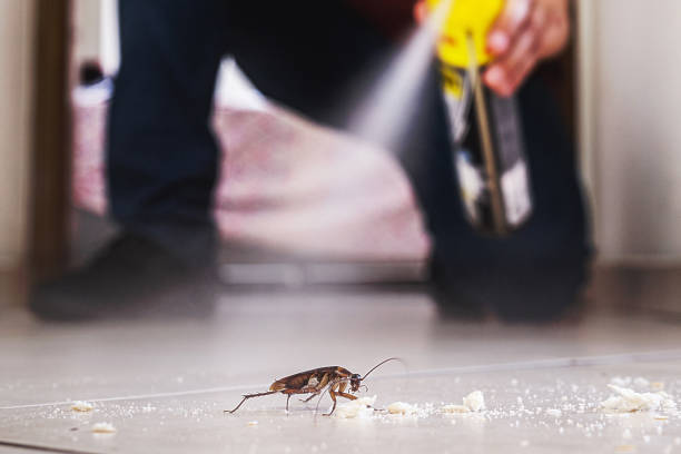 Best Residential Pest Control  in Stowell, TX