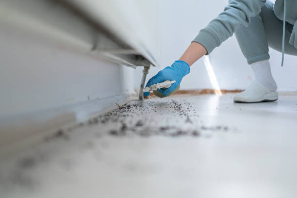 Best Emergency Pest Control  in Stowell, TX
